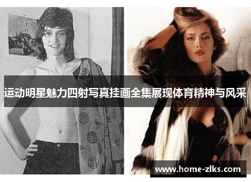 运动明星魅力四射写真挂画全集展现体育精神与风采